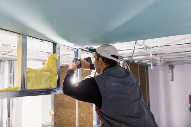 Best Commercial Insulation in Somonauk, IL