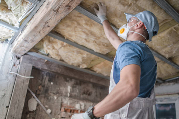 Best Specialized Insulation Services in Somonauk, IL