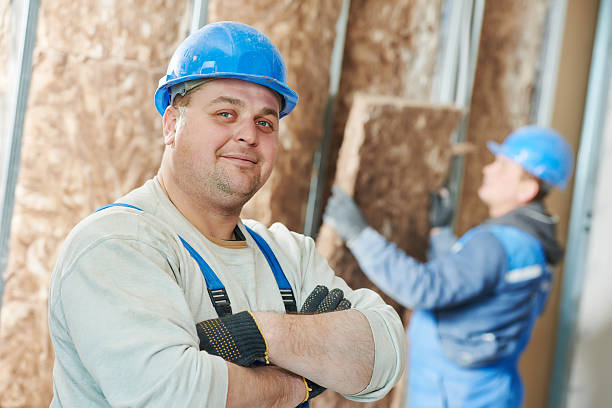 Trusted Somonauk, IL Insulation Contractor Experts